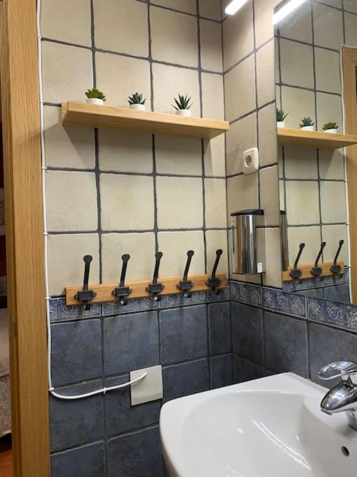 Apartamento Pineta ビエルサ エクステリア 写真